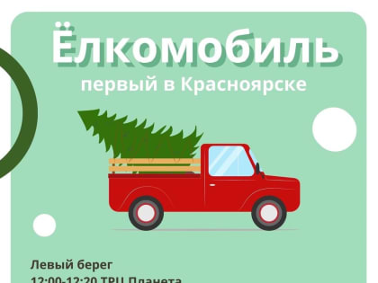 По Красноярску будут курсировать специальные автомобили для сбора ёлок