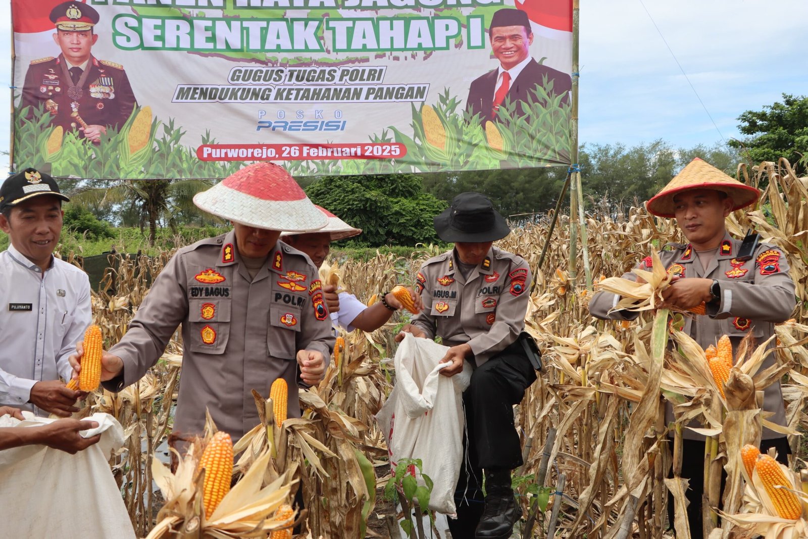 Polres Purworejo Gelar Panen Raya Jagung Serentak Tahap 1, Dukung Ketahanan Pangan Nasional