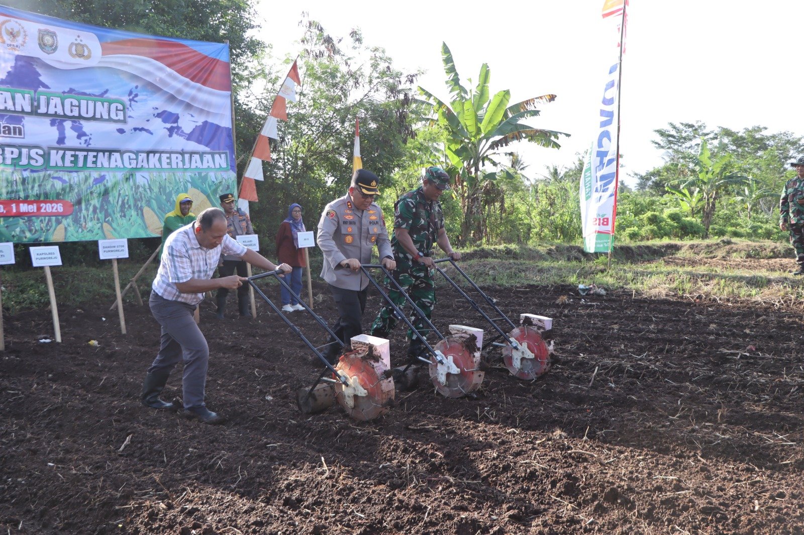 Sinergi Polres Purworejo di Desa Kalimiru: Tanam Jagung Unggul Hingga Proteksi Petani Lewat BPJS