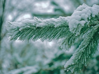 Синоптик Вильфанд спрогнозировал в России тепло на следующей неделе