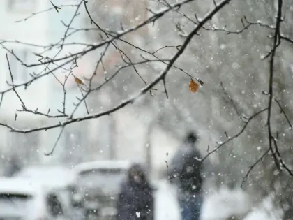 16 февраля туляков ждет небольшой снег и до -8 градусов