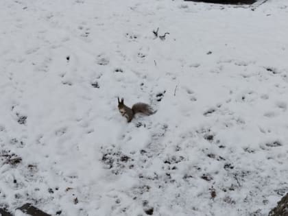 Погода в Туле 7 ноября: облачно с прояснениями и небольшой дождь
