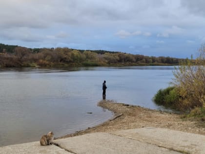 Проблемы с экологией в Москве