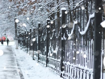 Погода в Туле 4 января: небольшой снег и до -5