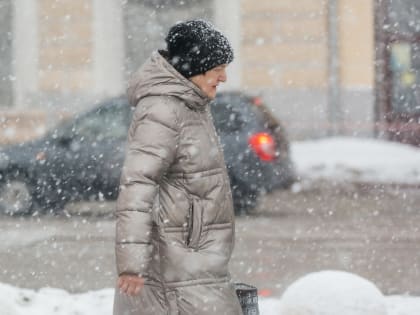 23 февраля в Тульской области будет небольшой снег и сильный ветер