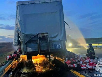 Пожар грузовика на трассе М-4