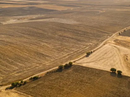 В Тульской области обнаружено заражение земель повиликой