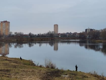 Новые инициативы по улучшению городской инфраструктуры