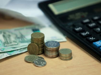 С начала года более 8000 туляков узнали размер своей будущей пенсии