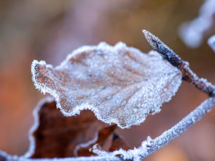 Неблагоприятные погодные условия ожидаются в Туле