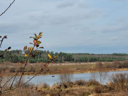Прогноз погоды на 25 октября в Туле