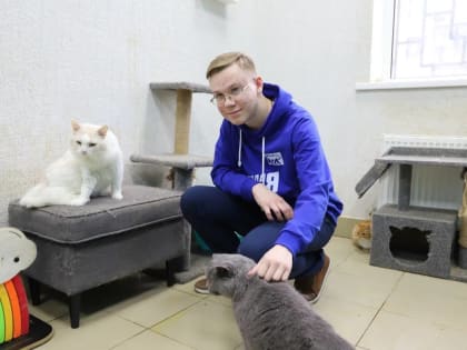 Активисты помогают приюту для кошек в Туле