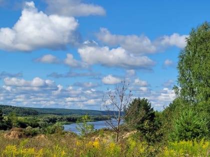 Прогноз погоды в Туле на 4 августа
