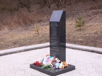 Галина Алёшина: Плавчане верно хранят историческую память