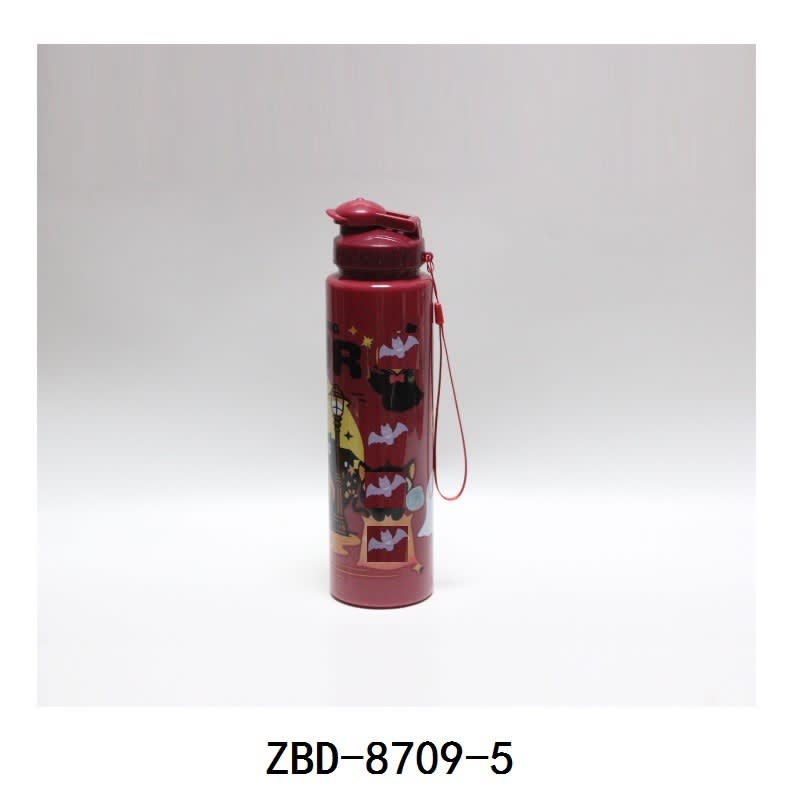 700ml Water Bottles