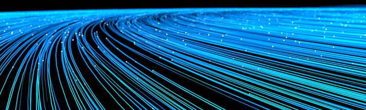 Trump AI executive order targeting state laws