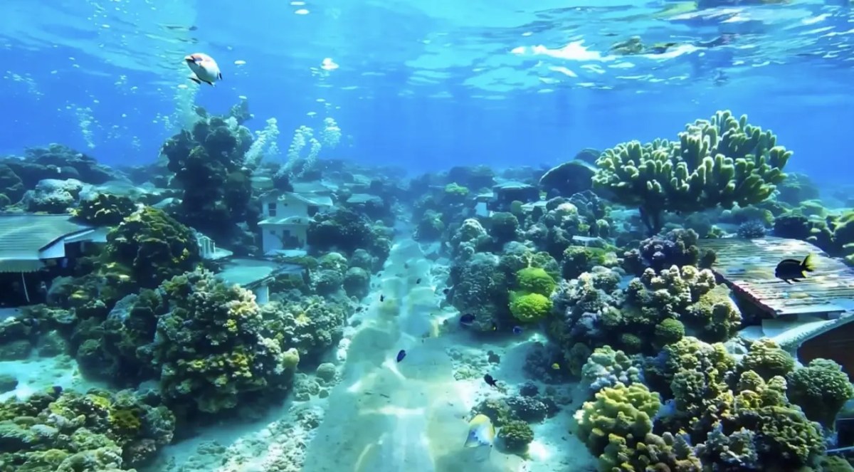 Runway Gen-3 Alpha commercial license - AI video generation interface