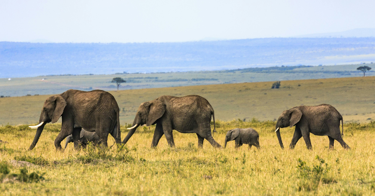 PostgreSQL 19 Beta 1 Is Here: Native Graph Queries, Non-Blocking REPACK ...