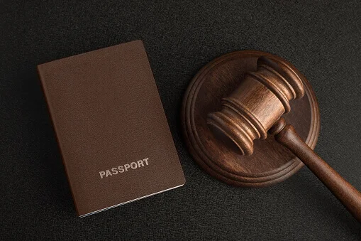 Deport-Sınır Dışı Süreci