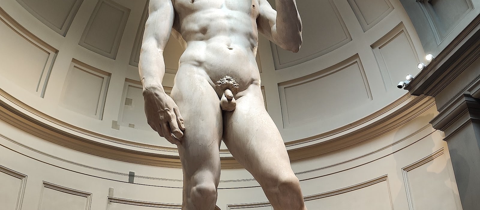 David