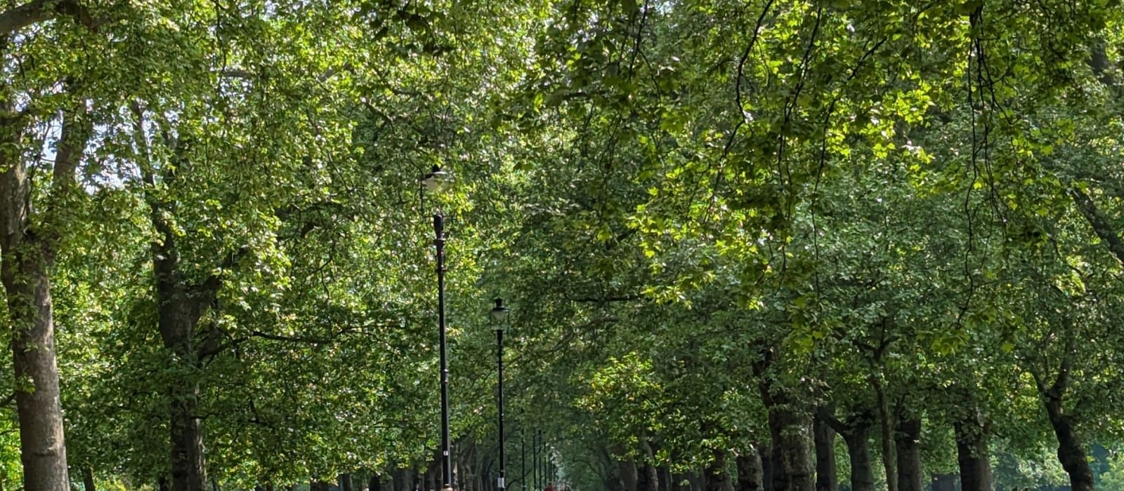 Hyde Park