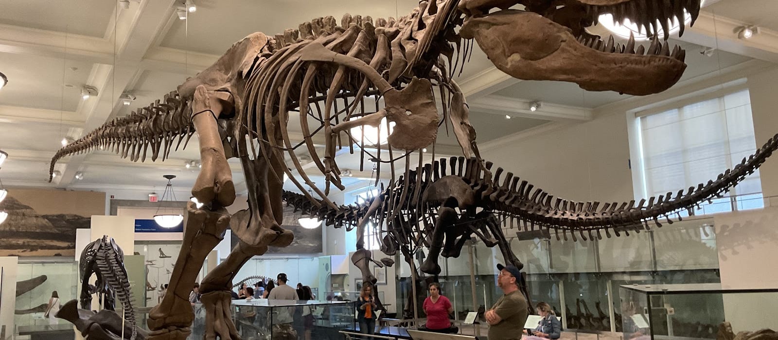 Muséum américain d'histoire naturelle