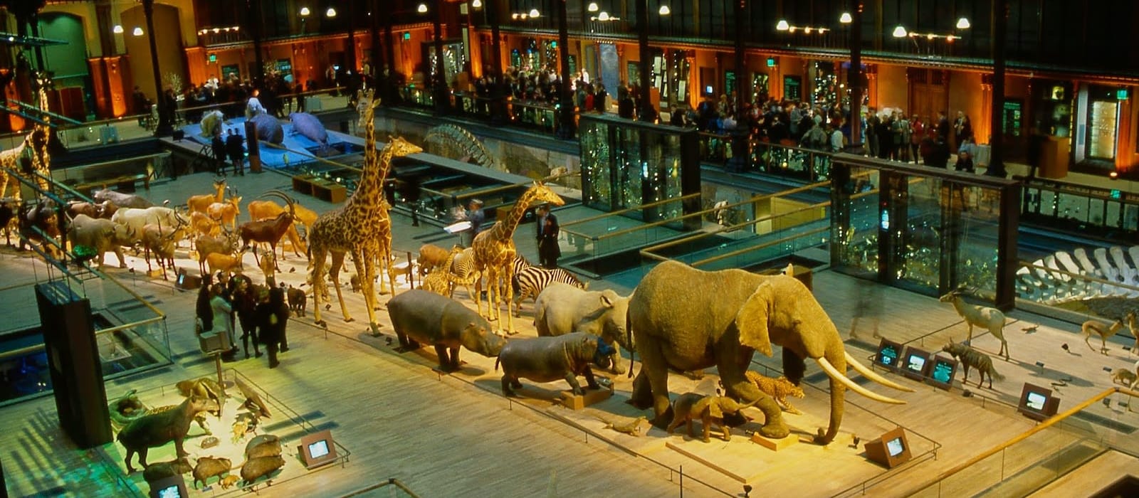 Grande Galerie de l'Évolution - Muséum national d'histoire naturelle