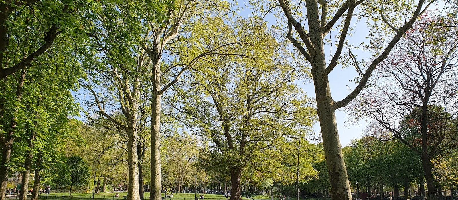 Jardin du Ranelagh