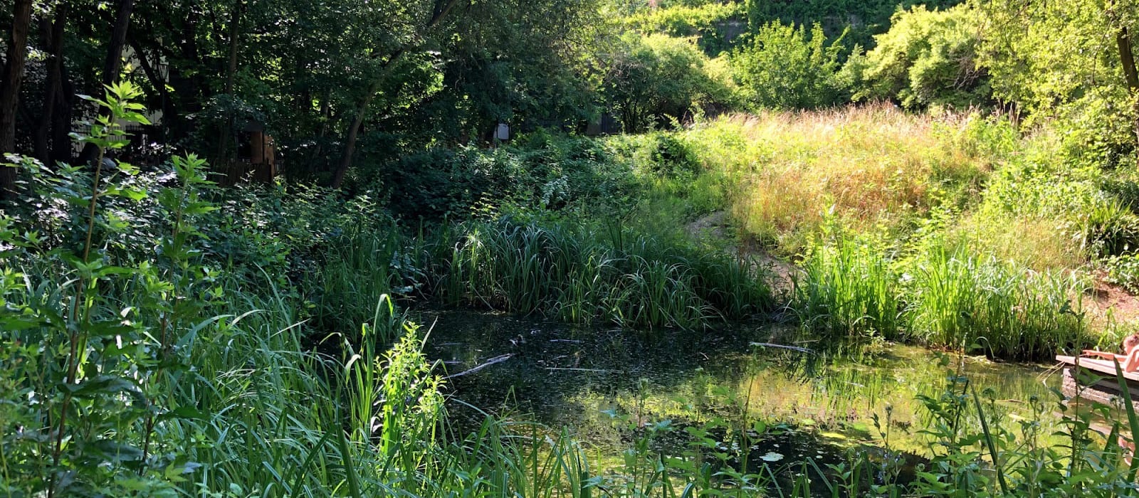 Jardin naturel - Pierre-Emmanuel