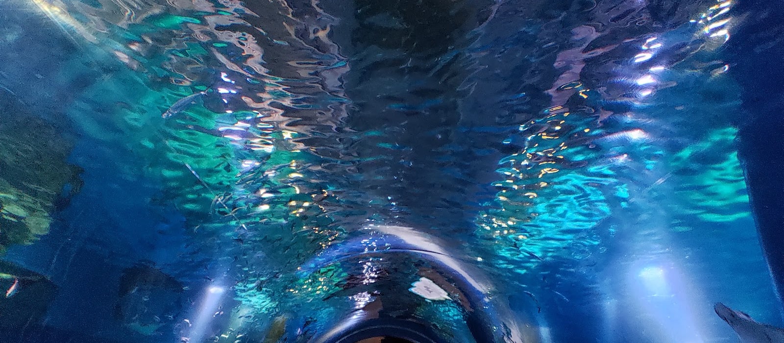 Aqua Park Shinagawa