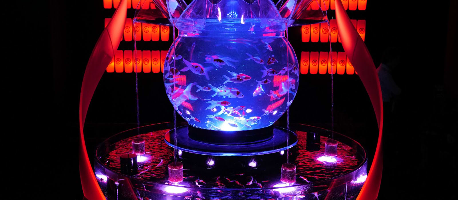 ART AQUARIUM MUSEUM