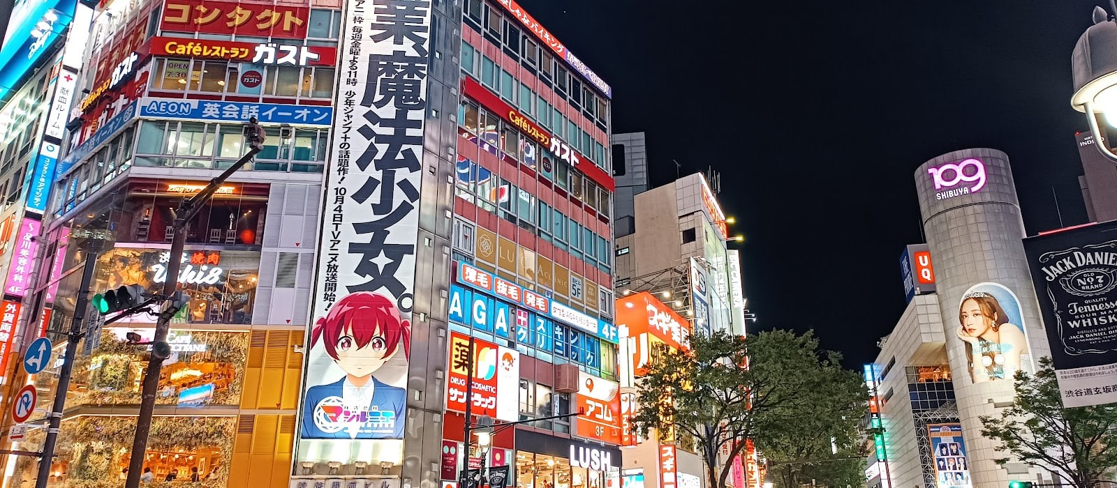 Shibuya Crossing