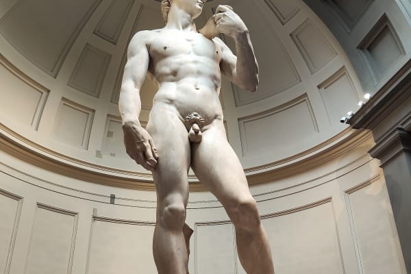 David