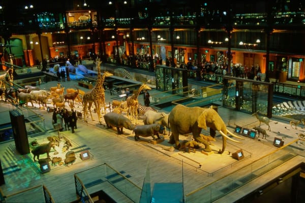 Grande Galerie de l'Évolution - Muséum national d'histoire naturelle