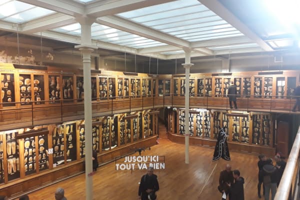 Musée des moulages de l'hôpital Saint-Louis