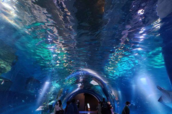 Aqua Park Shinagawa