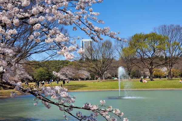 Yoyogi-kōen
