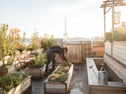 Brach — Paris