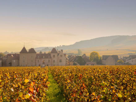 Château de la Commaraine — Pommard