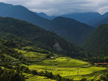 COMO Uma Bhutan — Punakha
