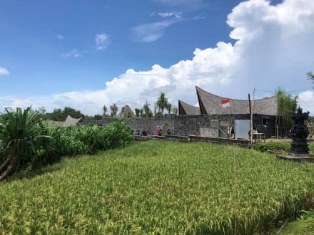 Desa Hay — Bali