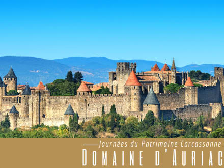 Hôtel Domaine d’Auriac — Carcassonne