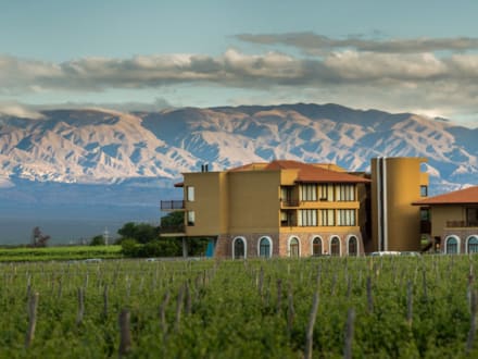 Grace Cafayate — Cafayate
