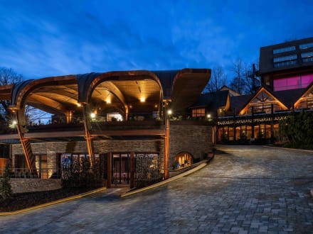 Hostellerie la Cheneaudière & Spa — Colroy-la-roche