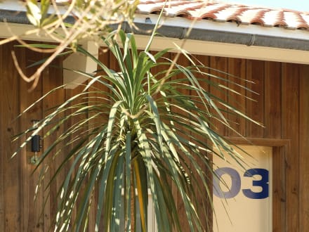 Hôtel des Dunes — Lège-Cap-Ferret