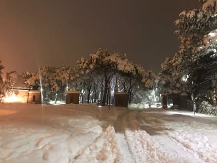 La Moraleja — Madrid