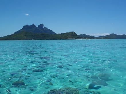Hôtel Le Bora Bora — Vaitape