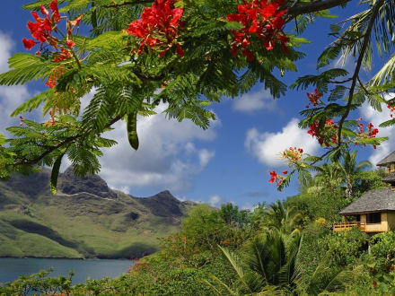 Hôtel Le Nuku Hiva — Taiohae
