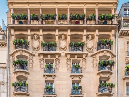 Le Solly — Paris