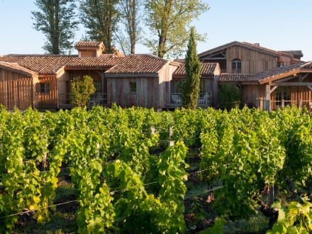 Les Sources de Caudalie — Martillac